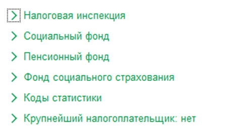 Как добавить новую организацию в 1С:Бухгалтерия 8.3 Сведения для отчетности фото